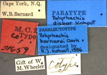 Media type: image; Entomology 21659   Aspect: labels